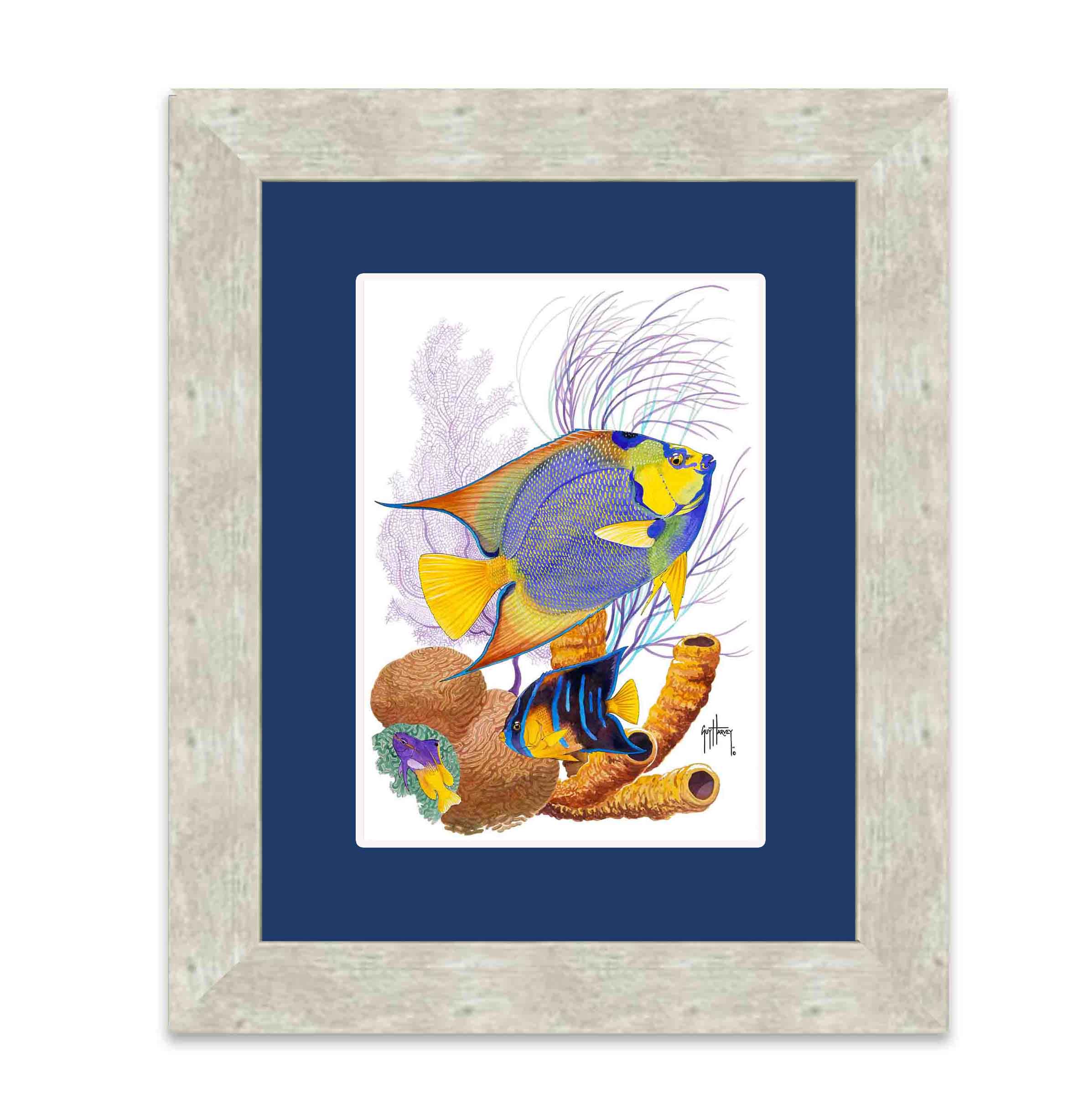 "Angelfish Duet"  Limited Edition Print