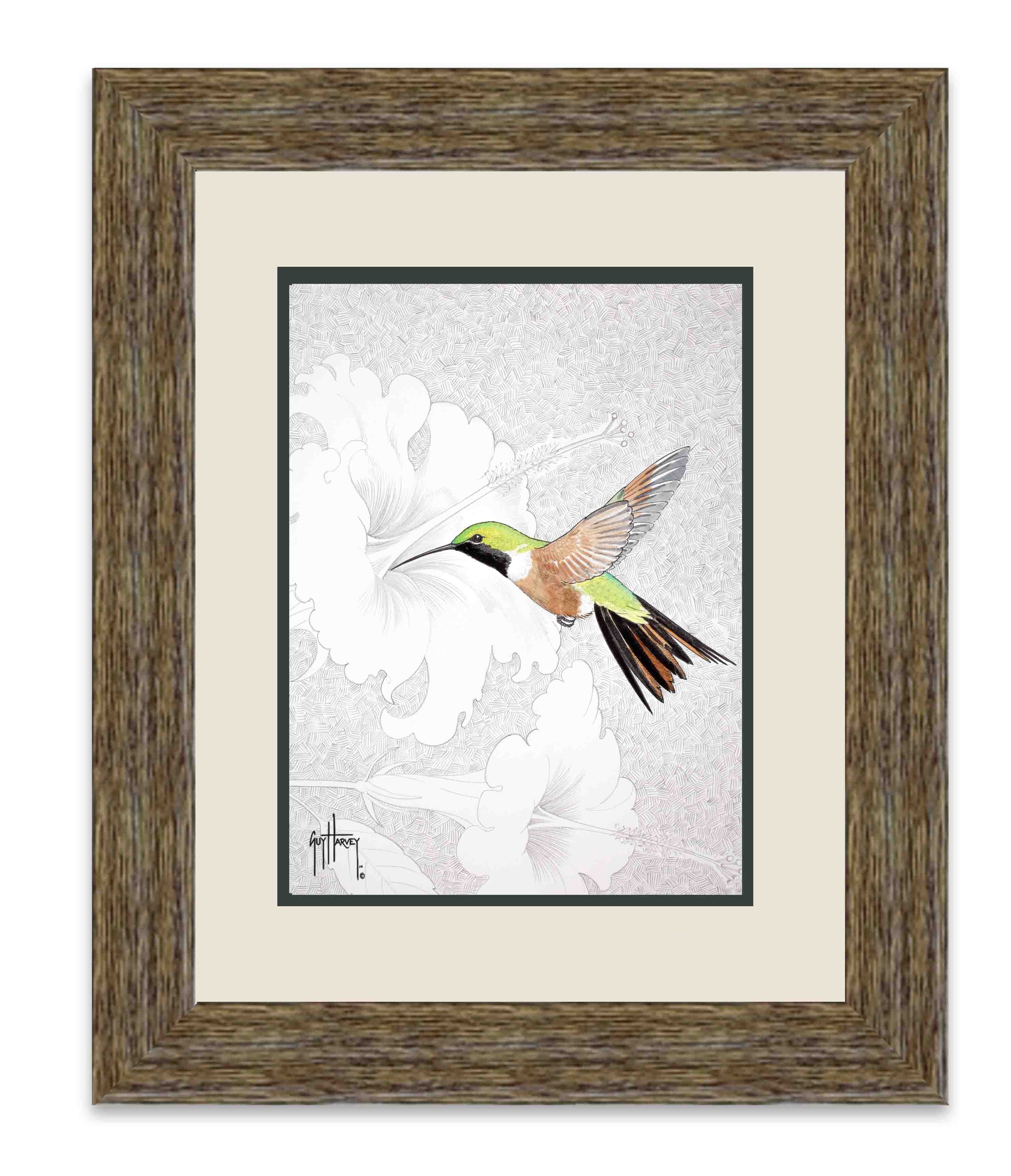 "Bahamas Woodstar" Limited Edition Print