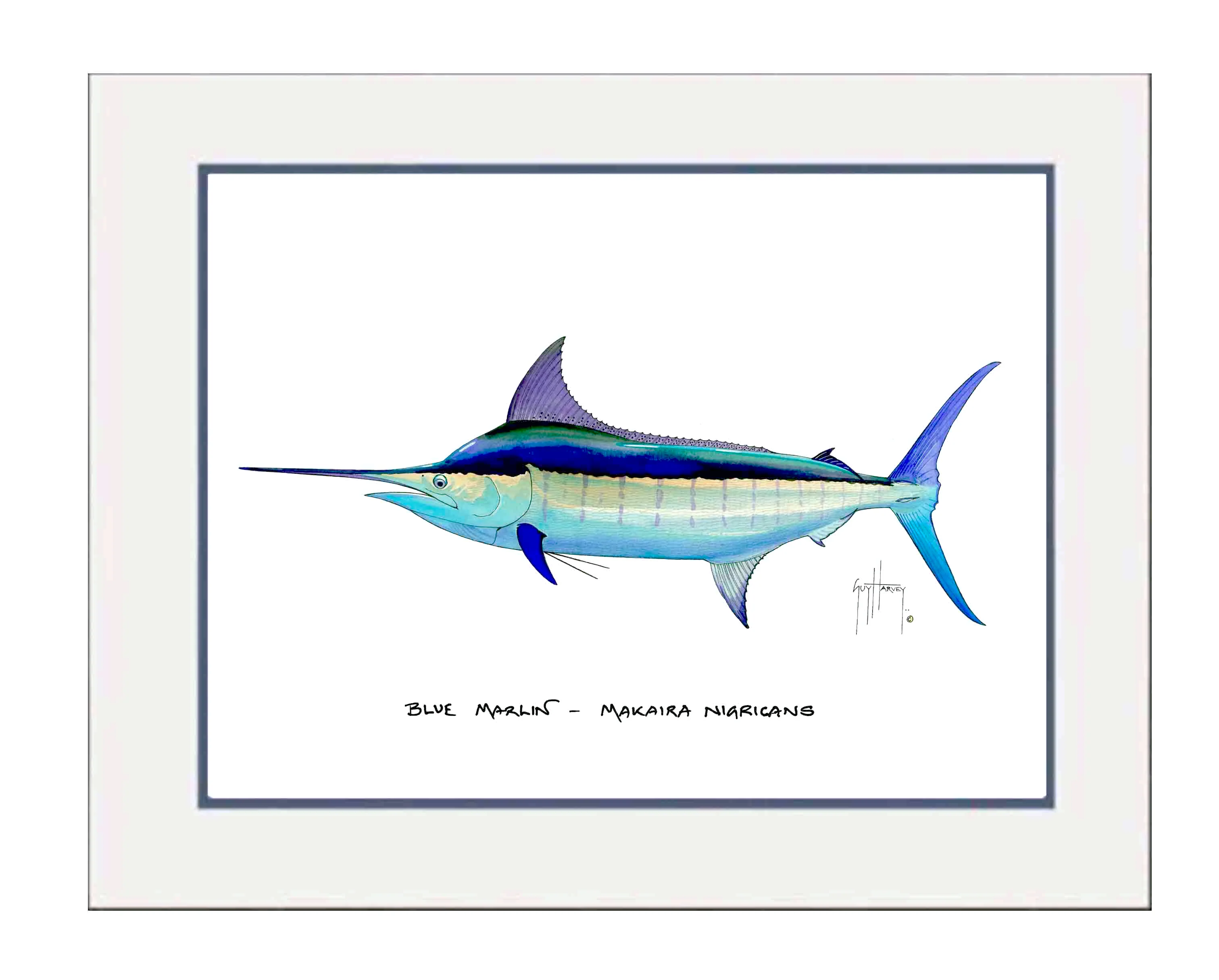 "Blue Marlin" Grande Mini Print - Image 2