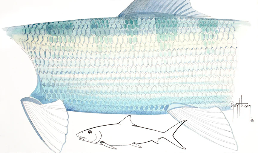 "Bonefish Skin" Original