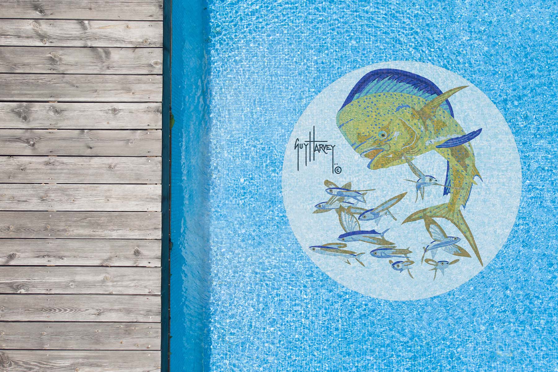 Bull Dolphin Medallion Mosaic - Large - Image 3
