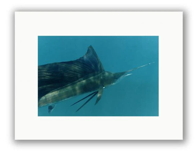 CLOSE UP PHOTO ART UNFRAMED