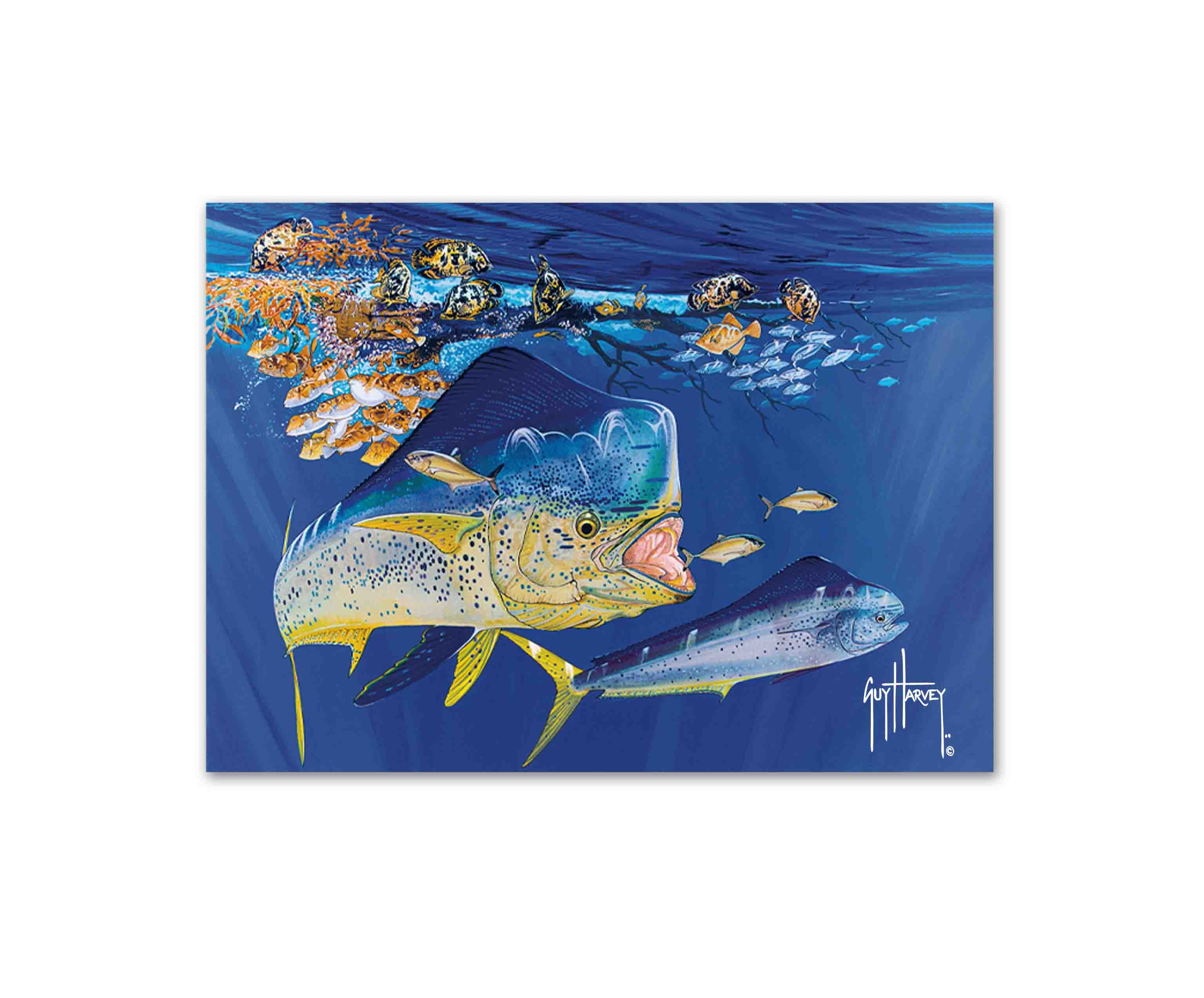 "Dolphin Summer" Limited Edition Print - Image 2