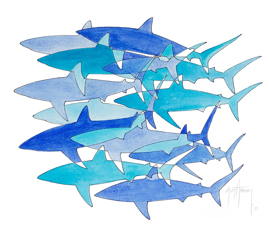 "Shark Camo" Original