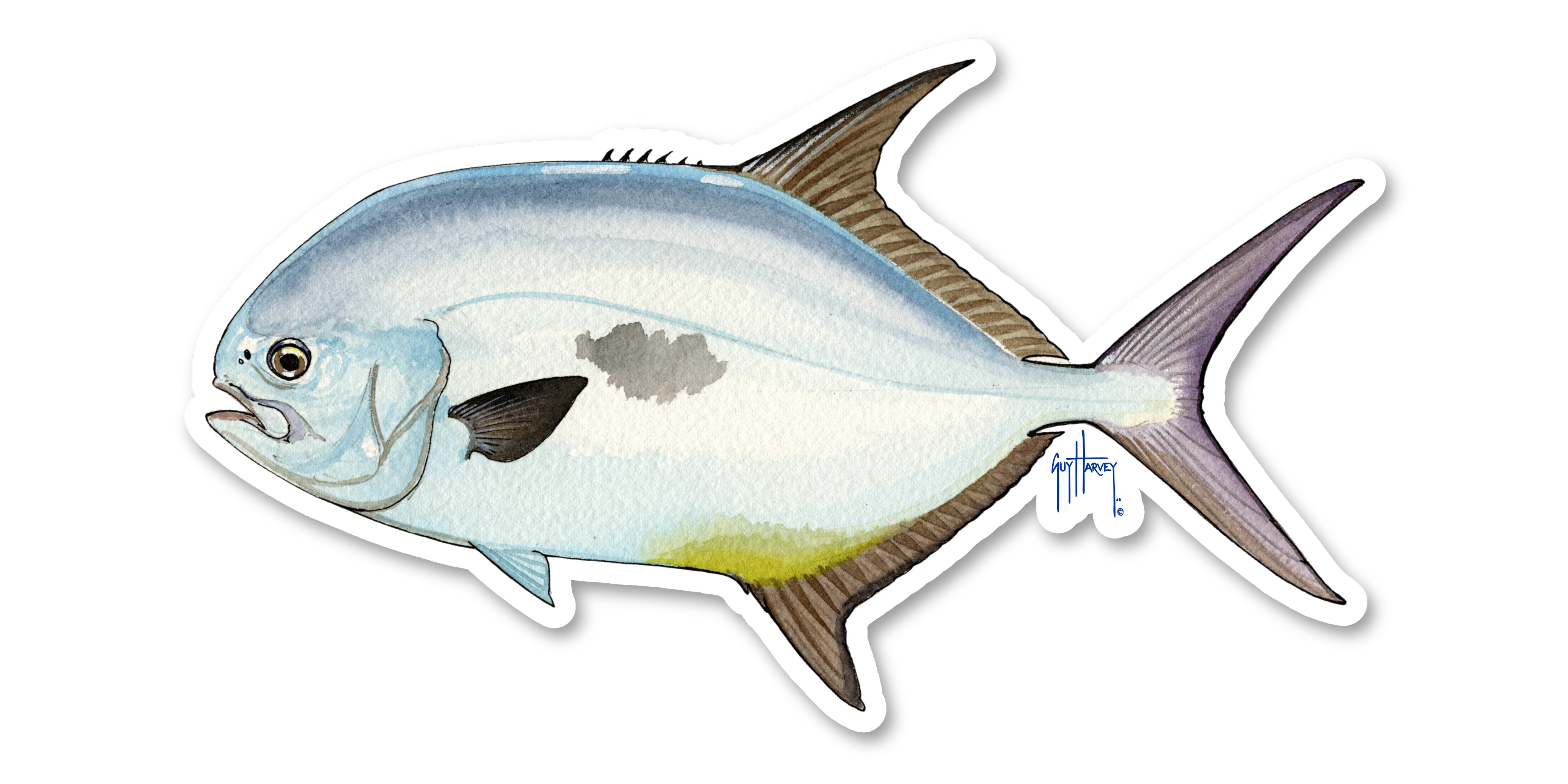 Permit Decal