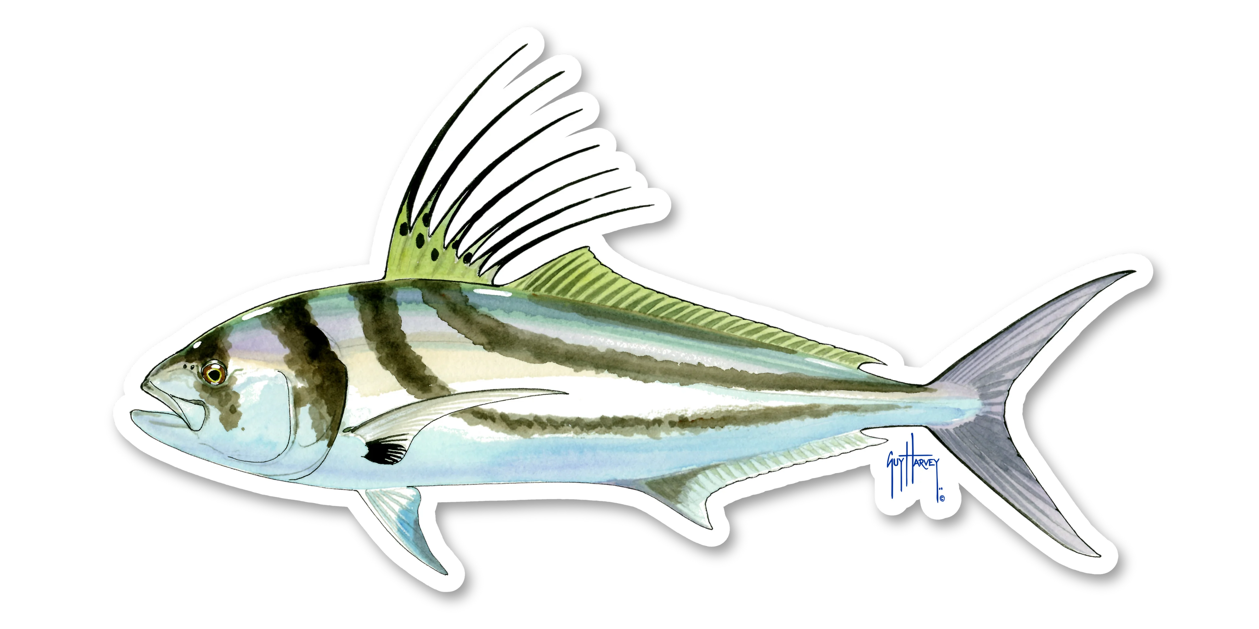 Roosterfish Decal