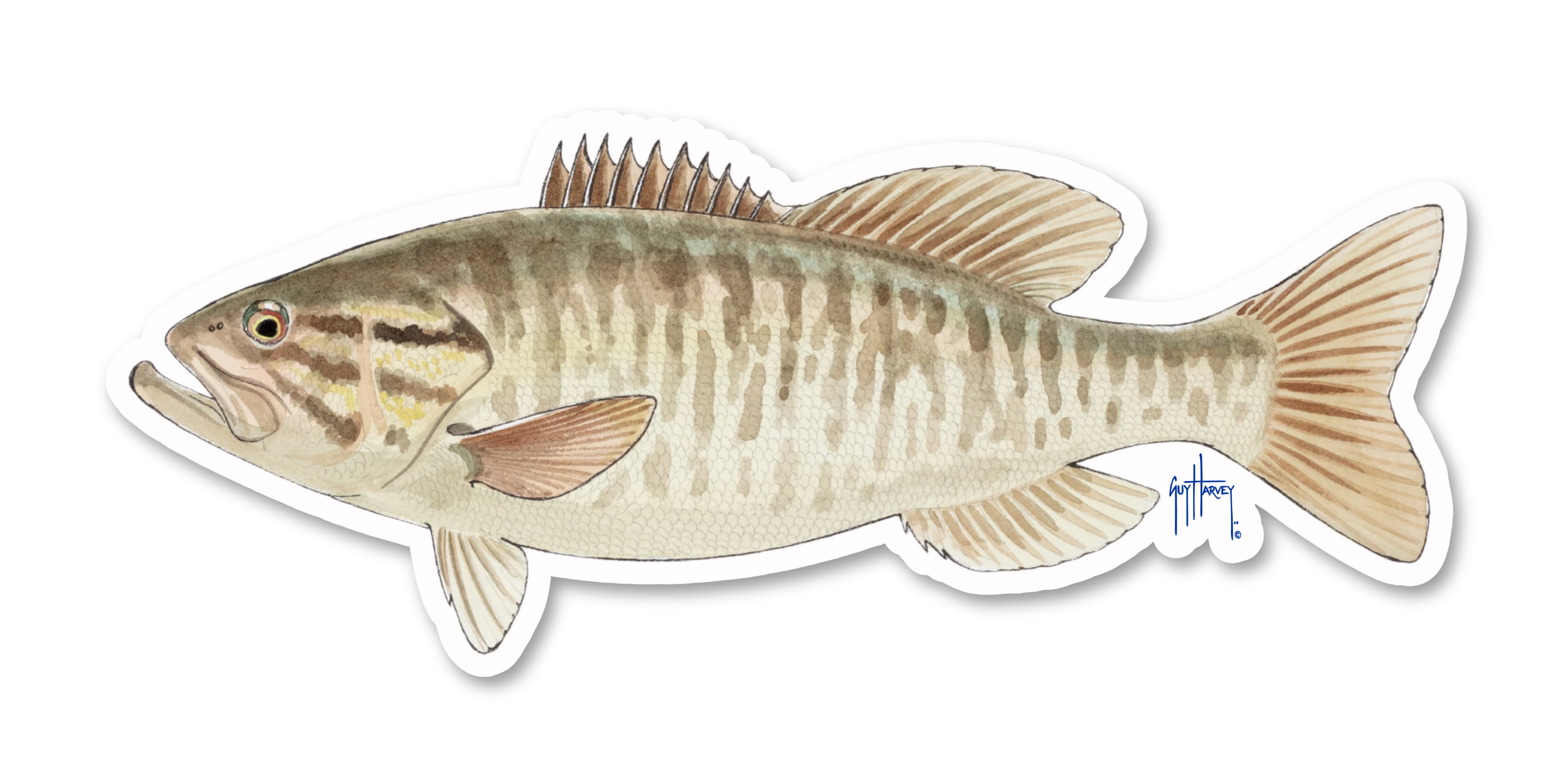 Smallmouth Bass Decal