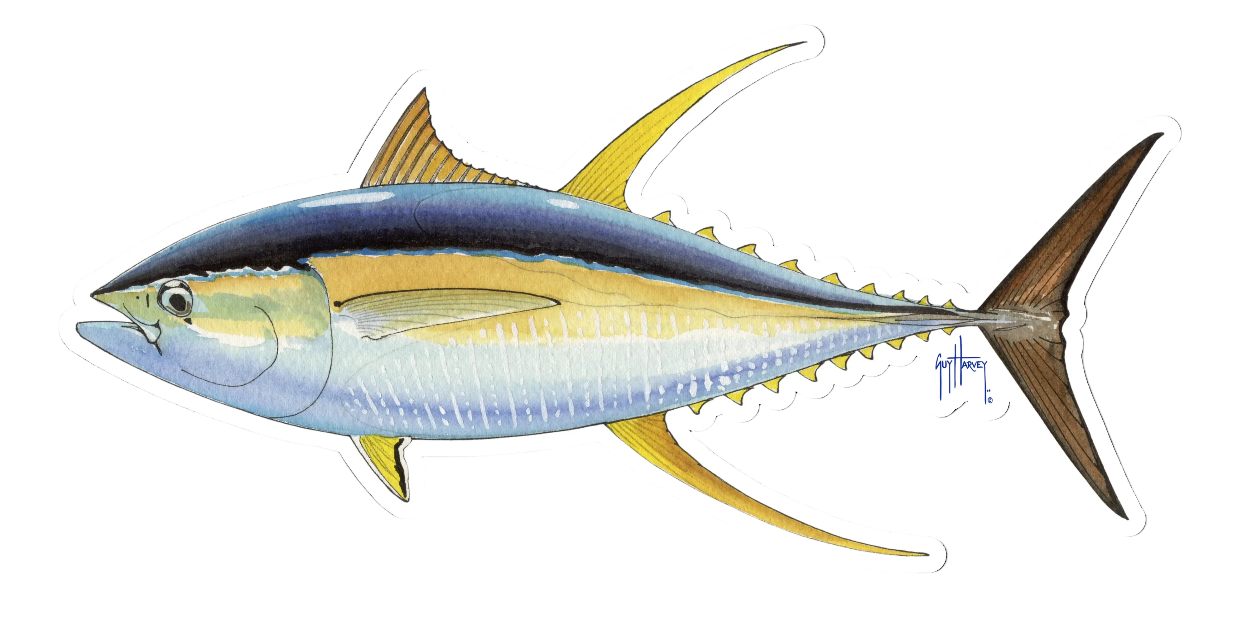 Yellowfin Tuna Decal