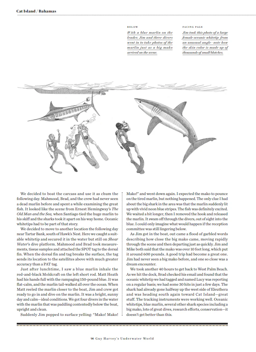 Guy Harvey's Underwater World -Remarque - Image 4
