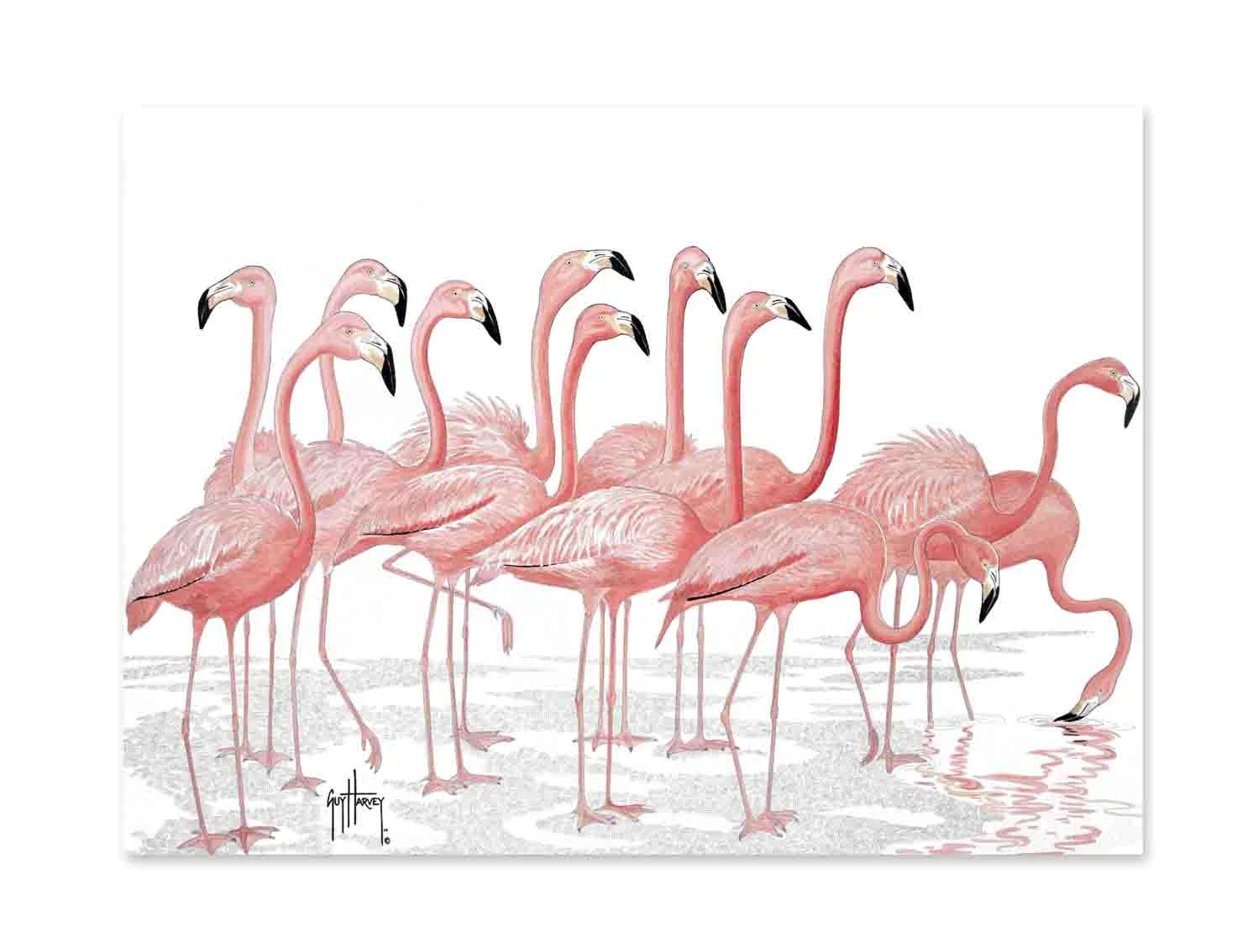 "Let's Fla-Mingle" Limited Edition Print - Image 2