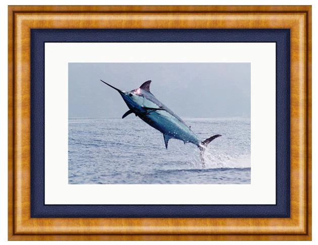 MADEIRA BLUE PHOTO ART FRAMED