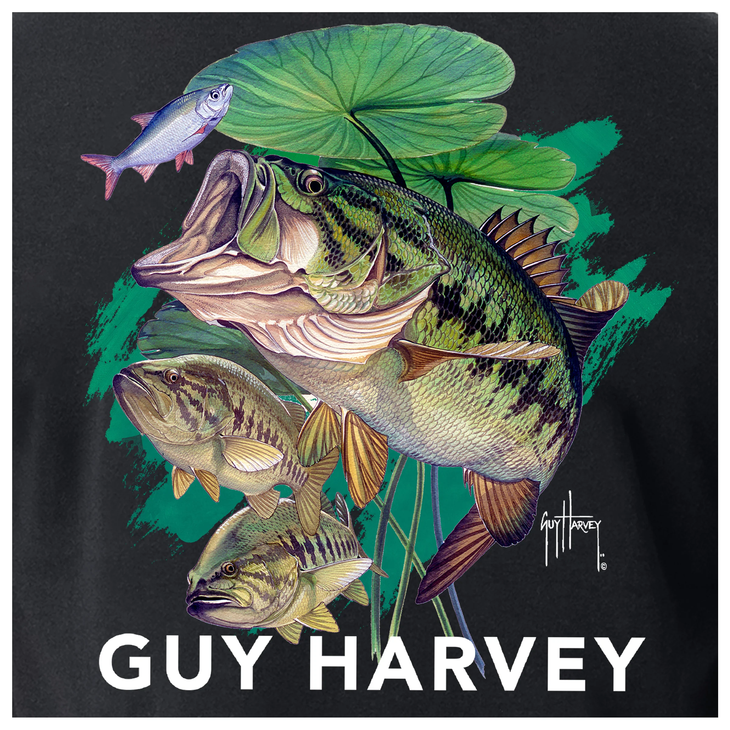 OG Tee - Home of the Bass - Image 3