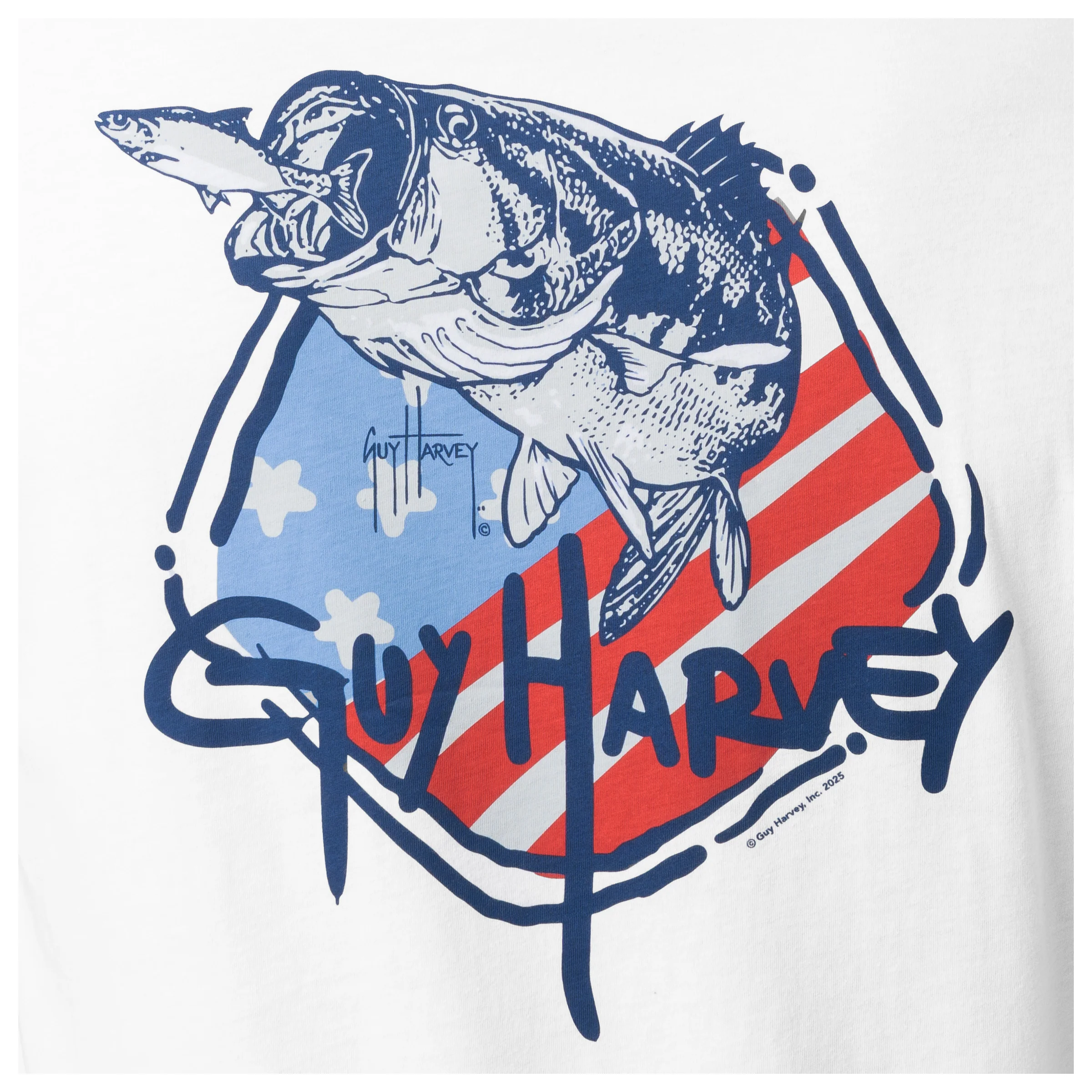 Lightweight Tee - Fast Flag - Image 4