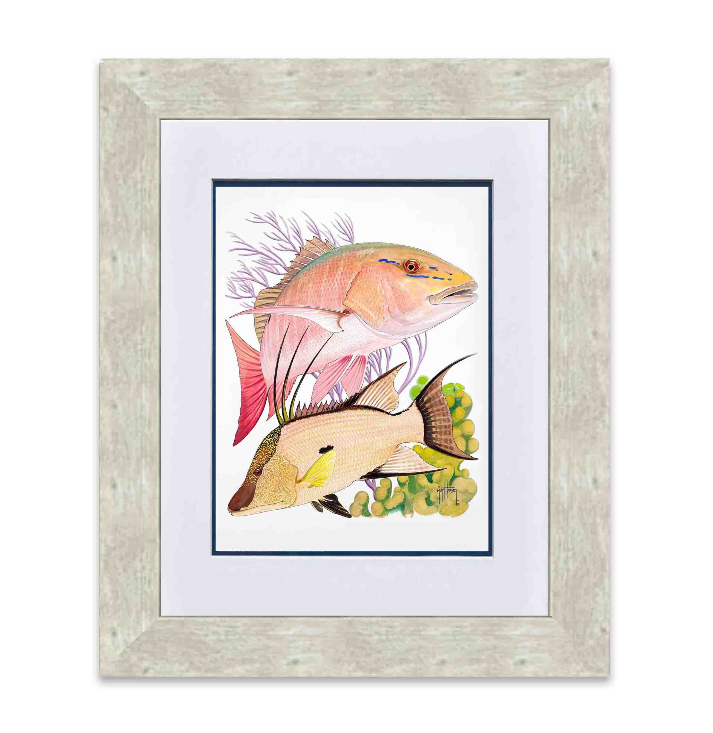 "Mutton Snapper & Hogfish" Limited Edition Print
