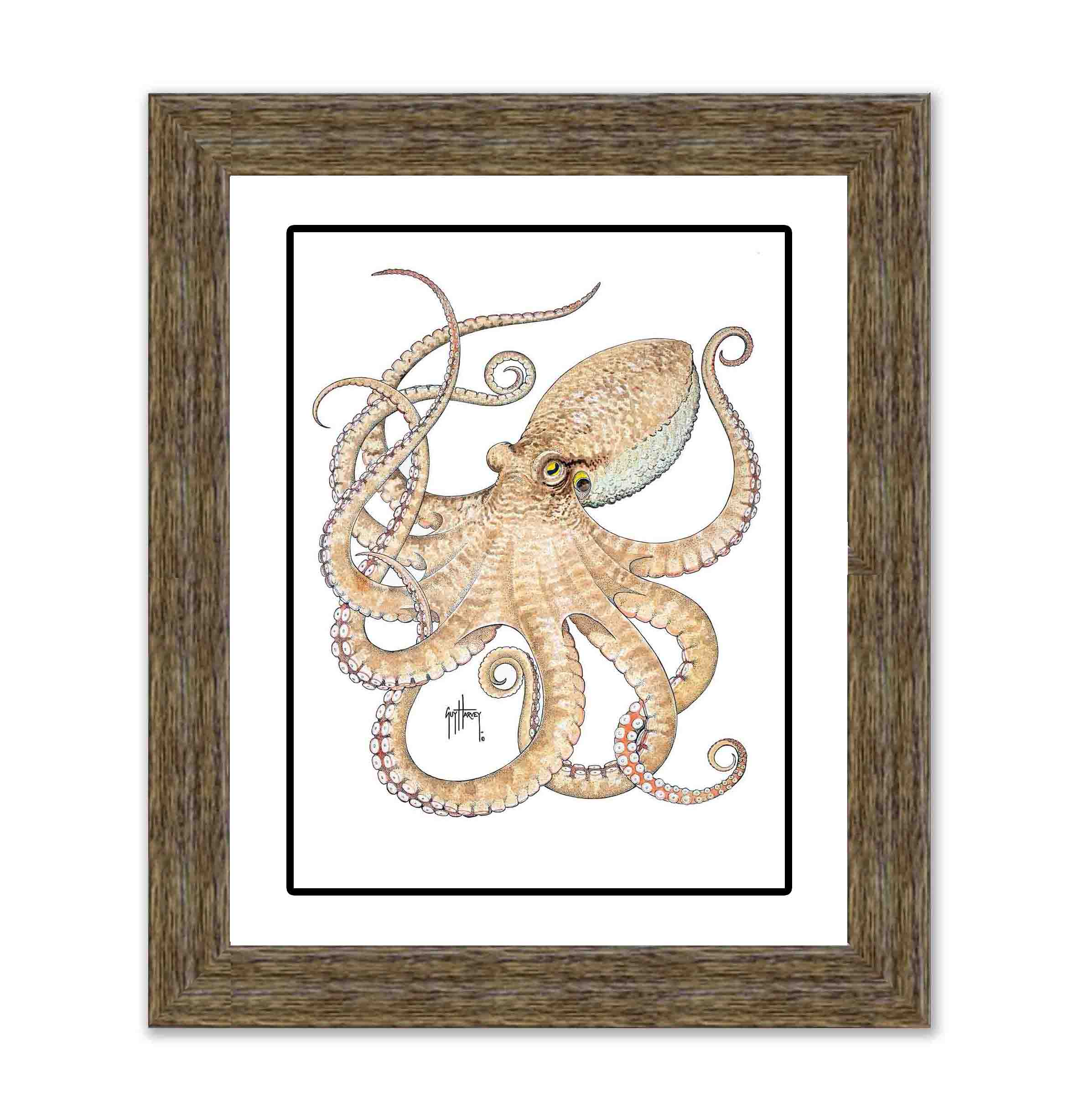 "Octopus II" Limited Edition Print