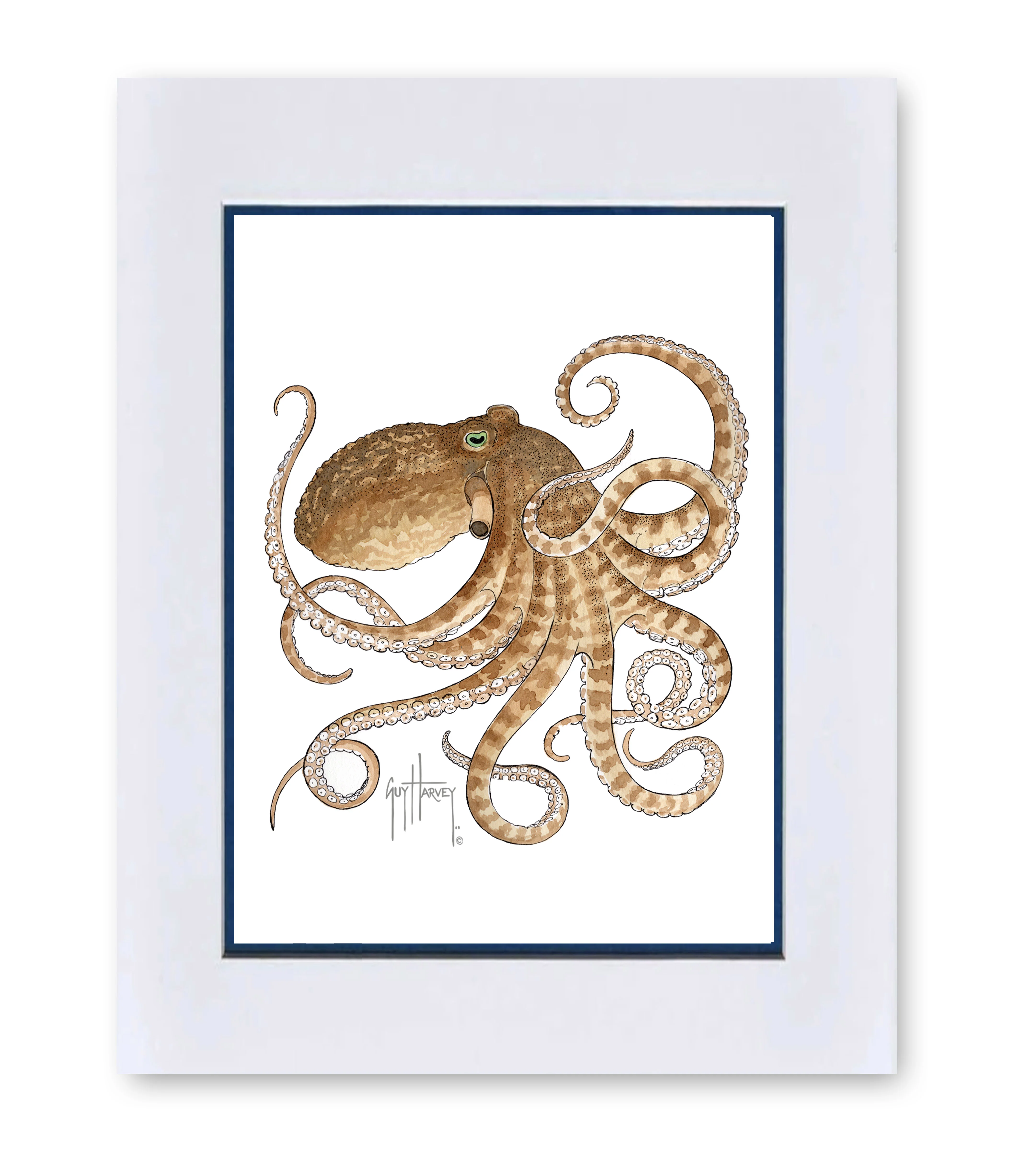 "Octopus IV" Grande Mini Print - Image 2