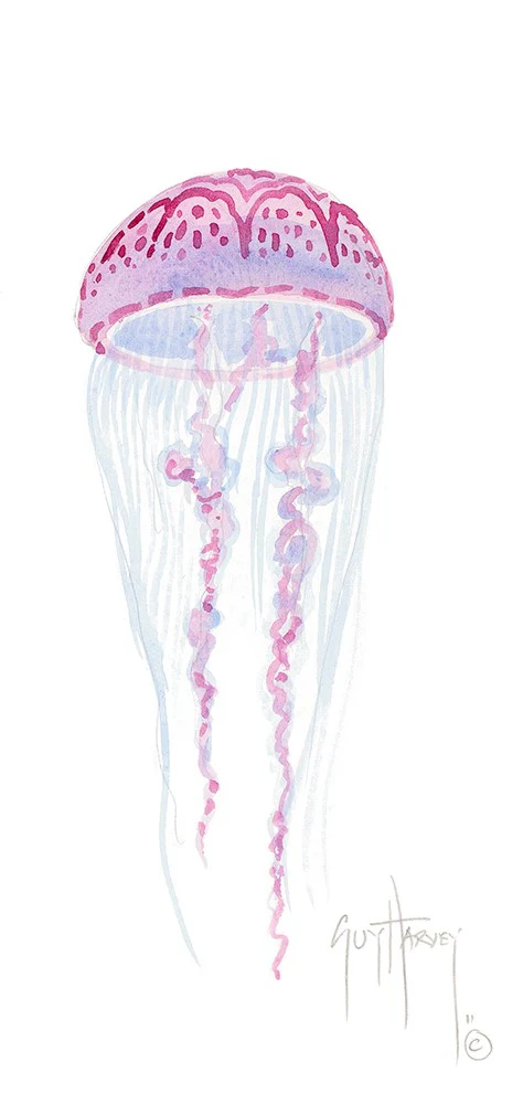 "Pink & Purple Jelly" Original