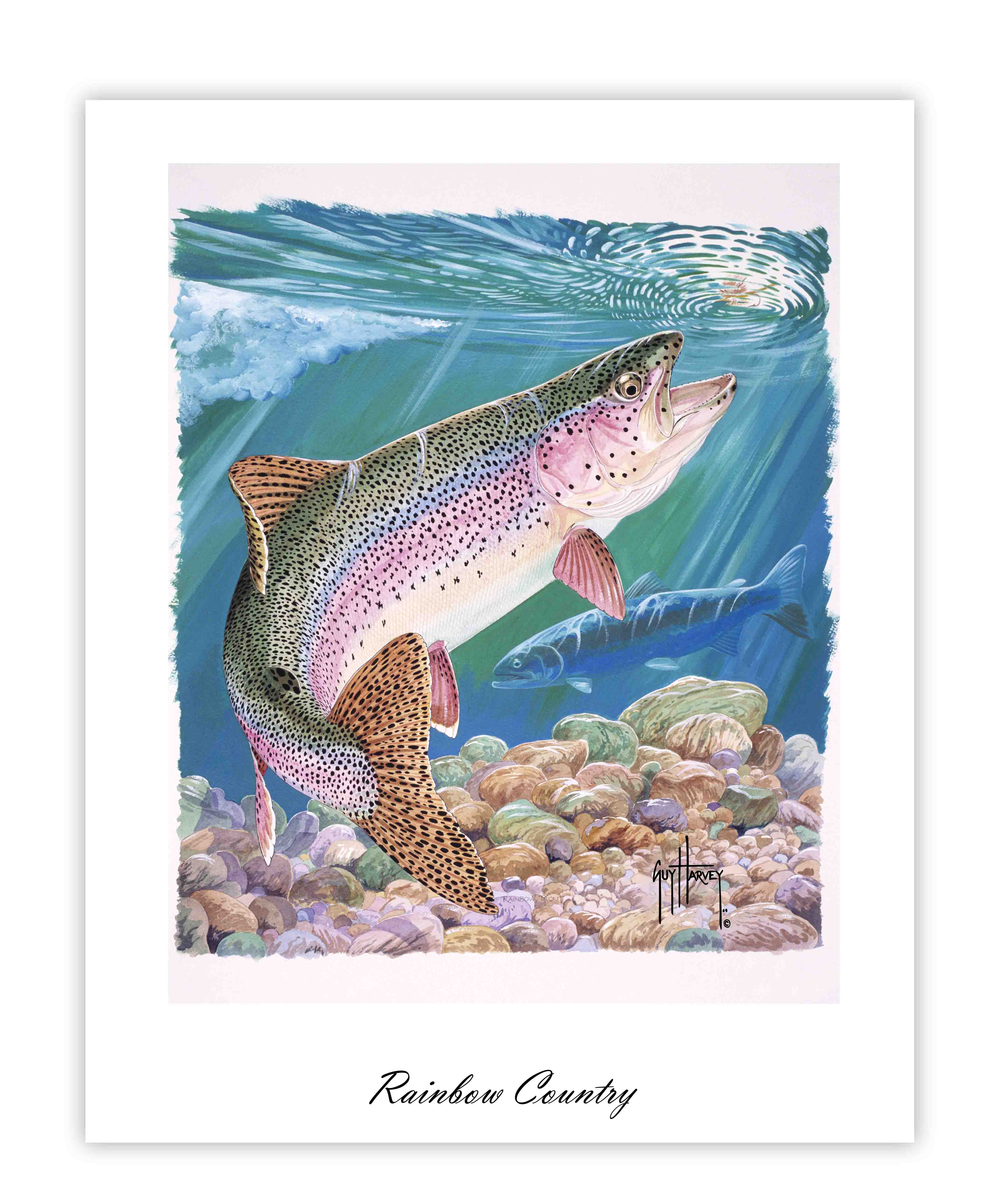 "Rainbow Country" Limited Edition Lithograph - Image 2