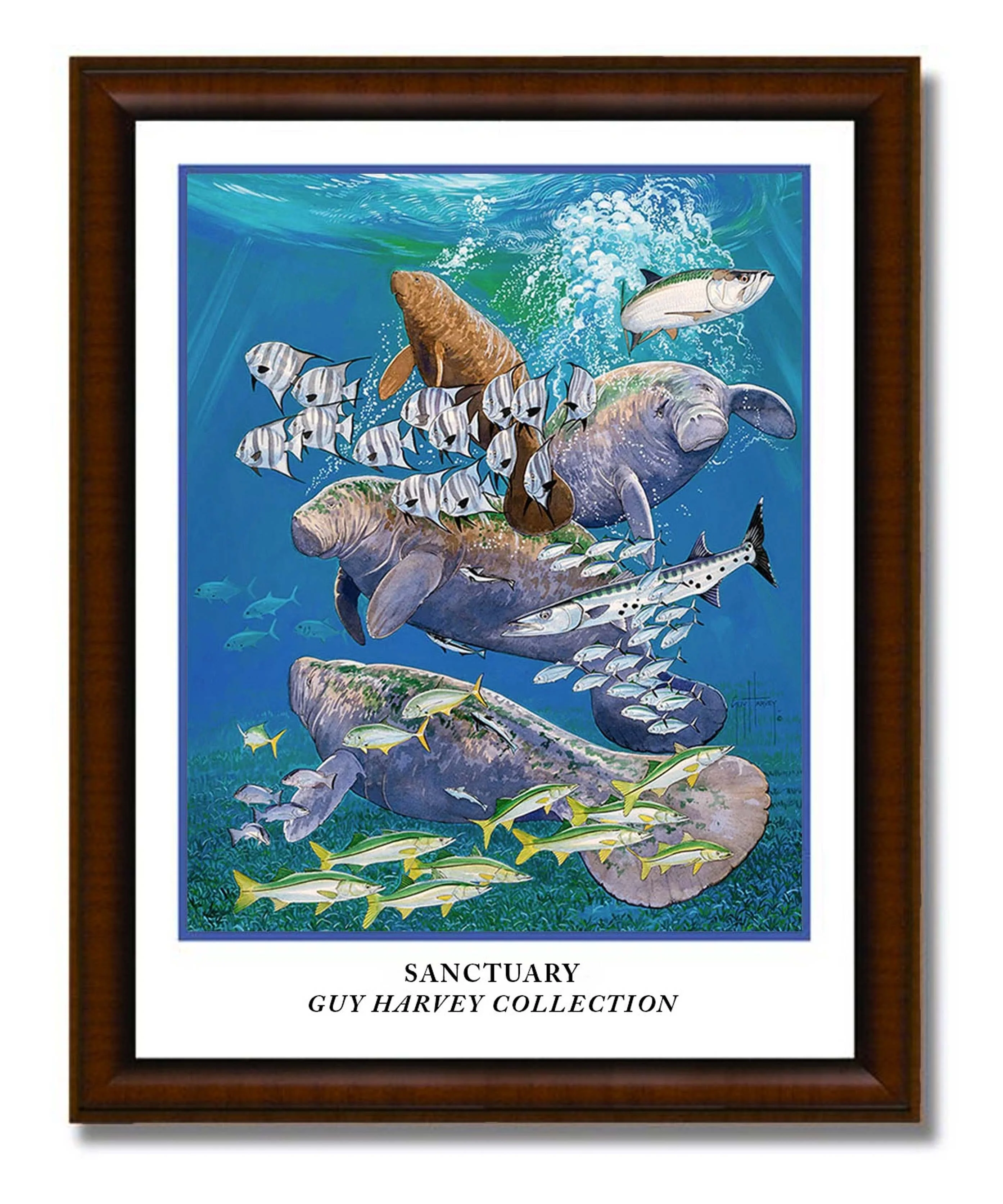 Sanctuary Poster Framed