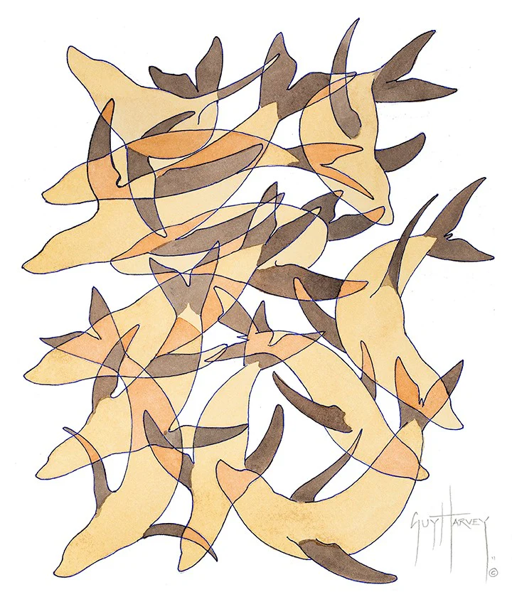"Sea Lion Camo" Original