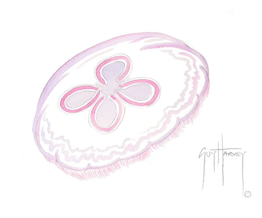 "Single Jellyfish" Original
