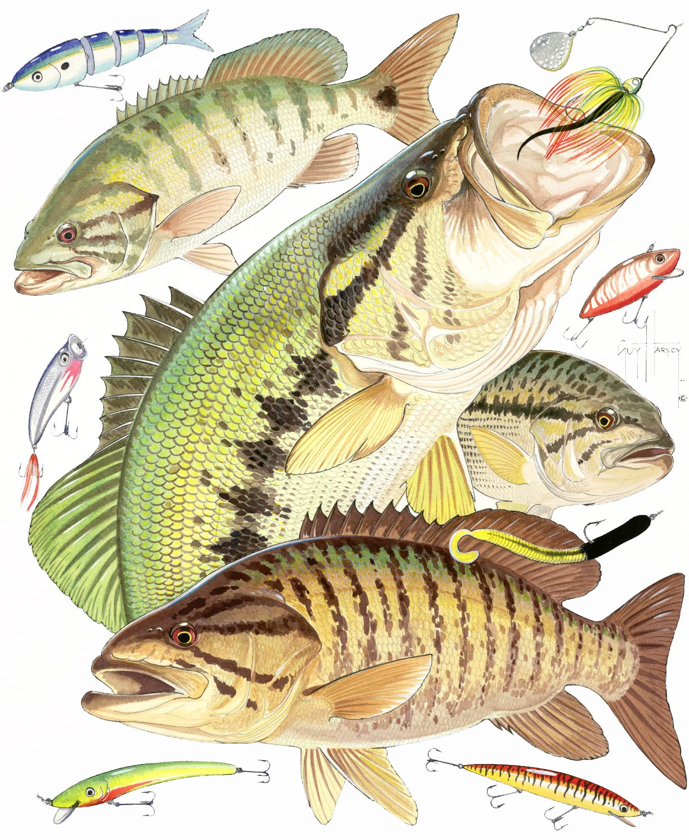 "Bass Collage" Original