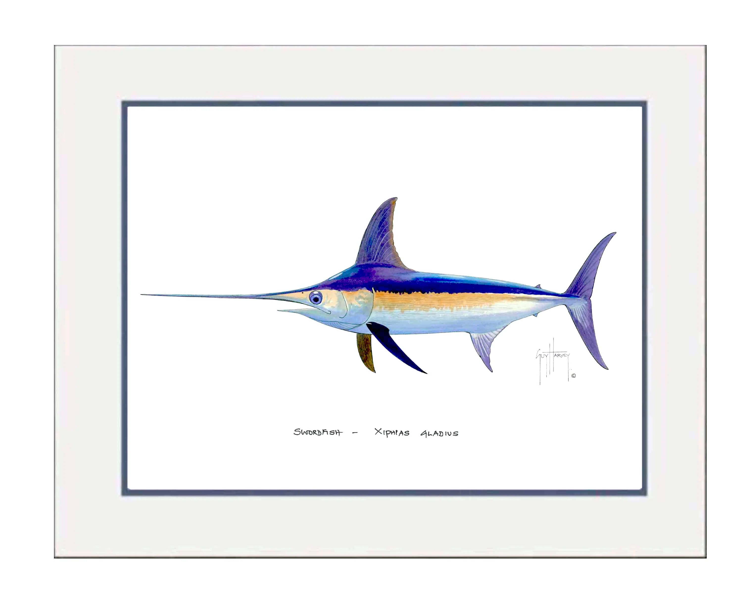 "Swordfish" Grande Mini Print - Image 2