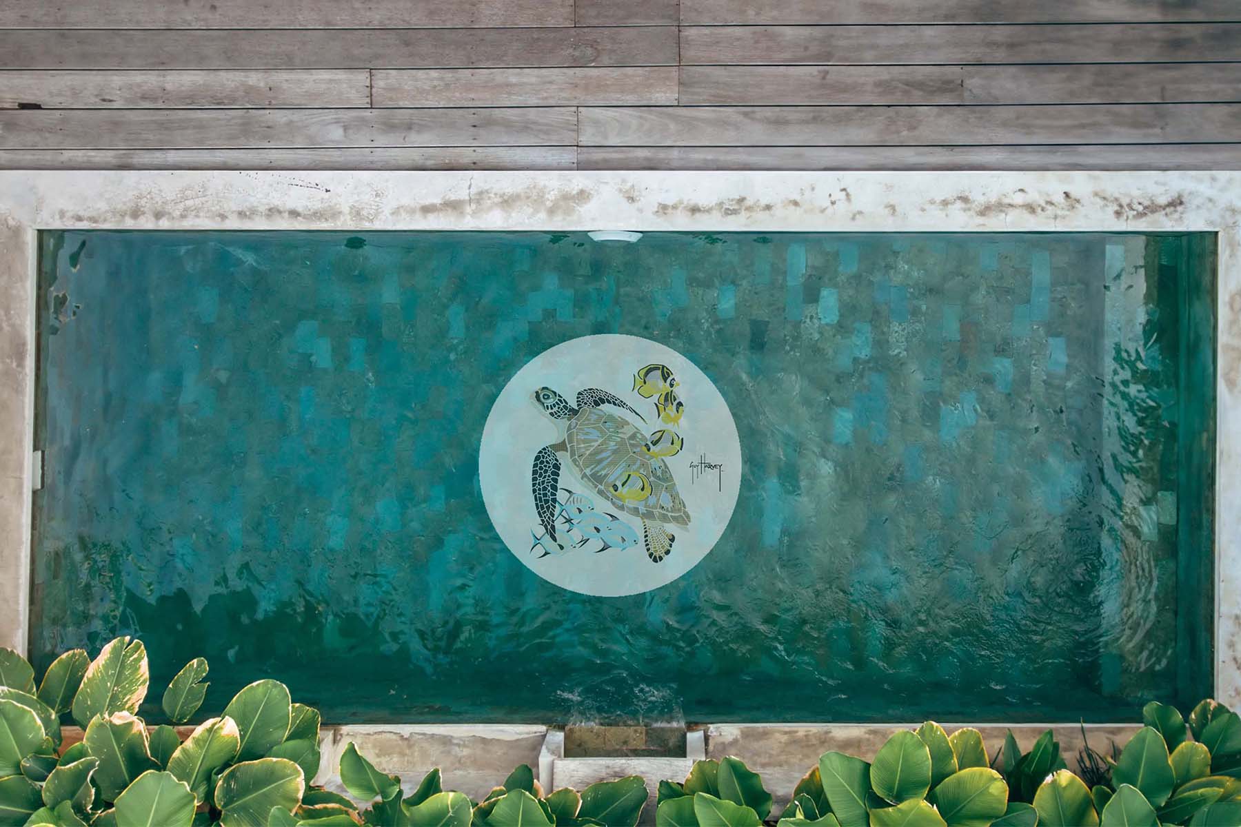 Turtle Medallion Mosaic - Large - Image 3