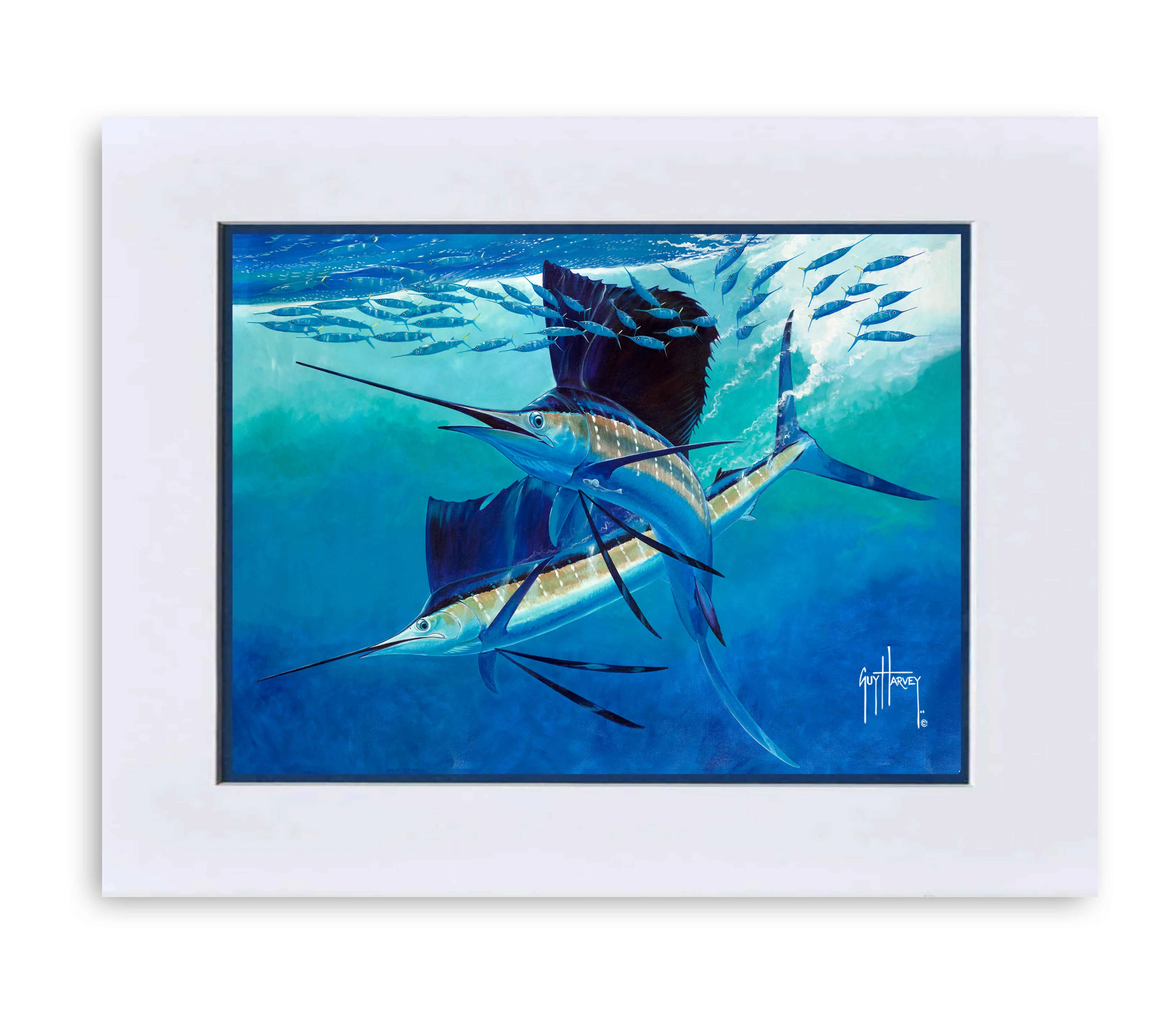 "Vela Tango" Grande Mini Print - Image 2