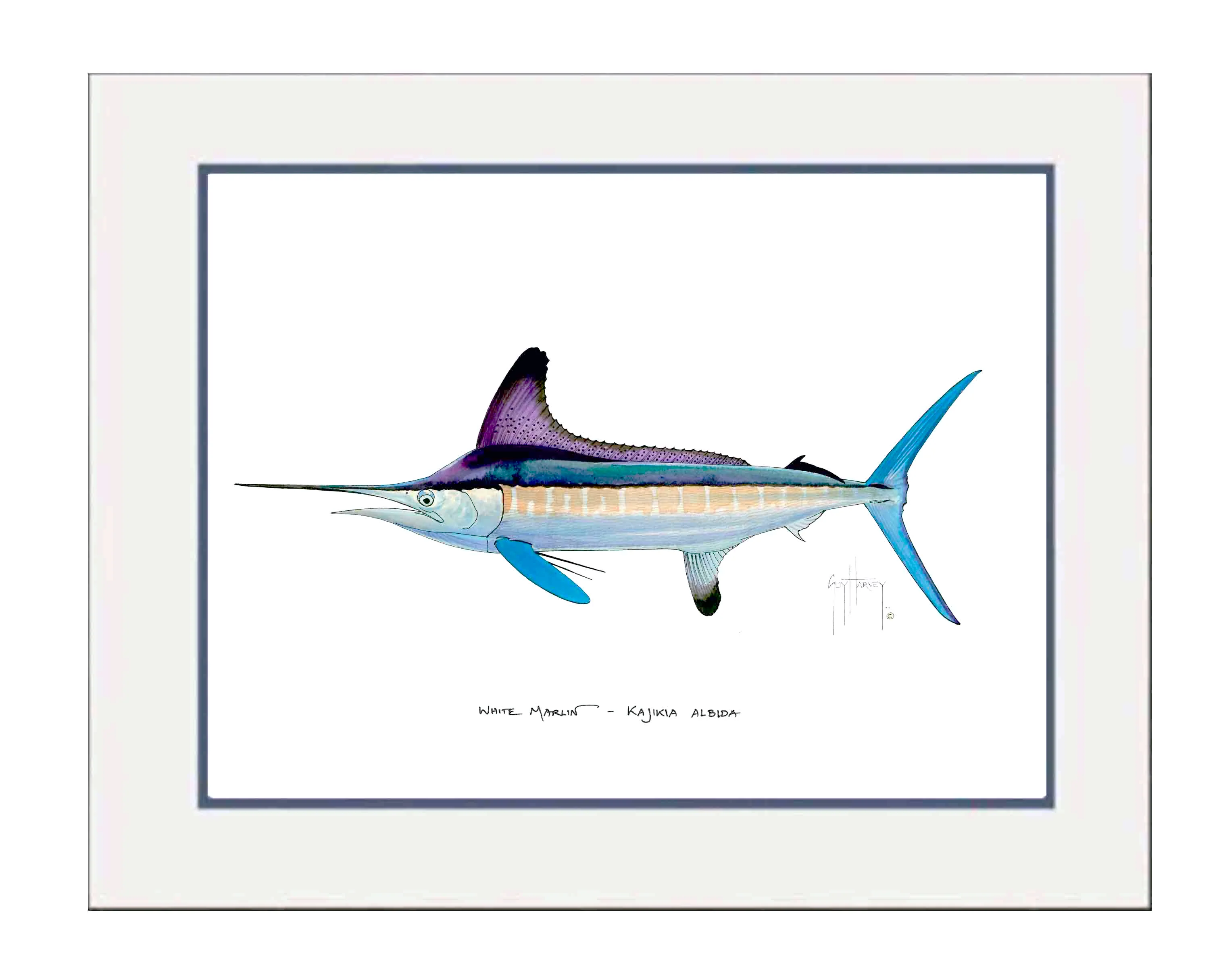 "White Marlin" Grande Mini Print - Image 2