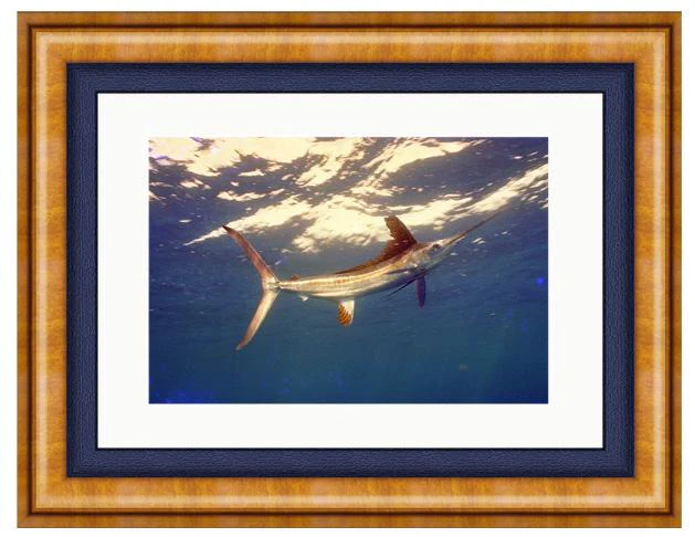 WHITETAIL PHOTO ART UNFRAMED